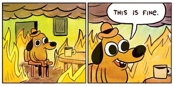 This is fine custom dcb93e90c4e1548ffb16978a5a8d182270c872a9 s1100 c50