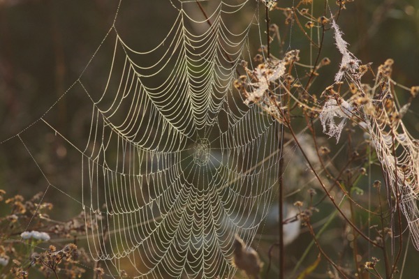 Shutterstock 1033809520