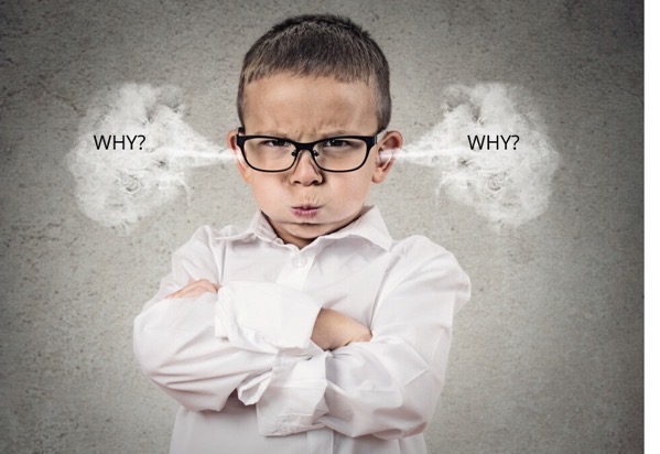 WEB article WHY dont we .