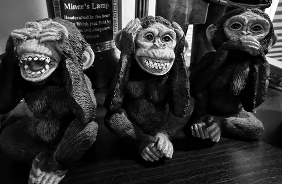 7A0D64D5 D7CA 4A5C A3E6 2E31AA86A9D5_4_5005_c.