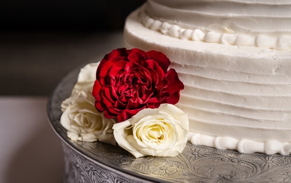 Shutterstock_1260563305 copy.