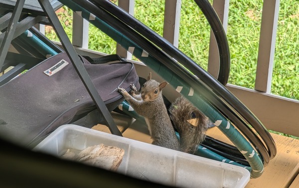 PXL 20250805 161208783.