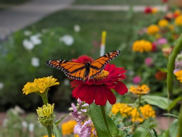 PXL 20250811 184000817.PORTRAIT.