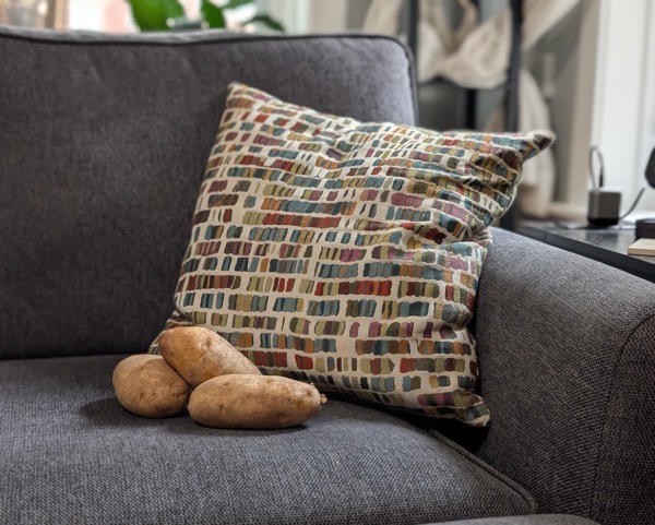 PXL 20250819 171501827.PORTRAIT.