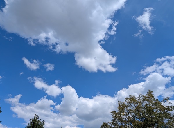 PXL_20250827_183412768.jpg PXL 20250827 183412768.