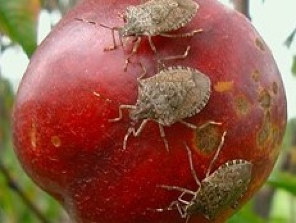 55b31eb4ba867b00263c62f538280311 XL.