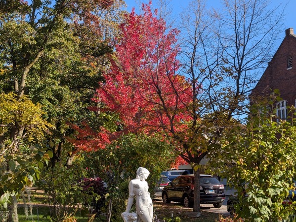 PXL 20251030 191418500.