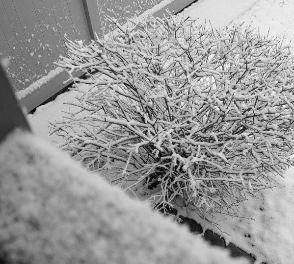 PXL 20250320 115712285.