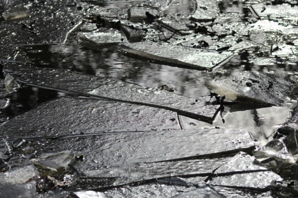 Emily lauren LJCYgh6ldAY unsplash.