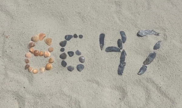 An overhead photograph looking down at the numbers "8647" formed by arranged seashells on light beige sand. The number '8' is made with light brown bivalve shells, while the '6', '4', and '7' are made with darker, gray and black seashells. The sand is slightly textured with wave patterns. The scene is well-lit by natural daylight.