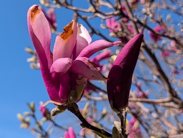 PXL 20260411 142247979.