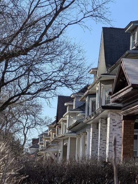 A row of multi-story houses stretches into the distance under a clear blue sky, viewed from a low angle behind a dense, leafless hedge. The houses feature complex rooflines with gables, dormers, and a mix of siding, brick, and light-colored stone facades. Prominent architectural details include columns on front porches and bay windows. On the left, bare tree branches reach across the upper portion of the frame, partially obscuring the view of the sky and the houses further down the street.