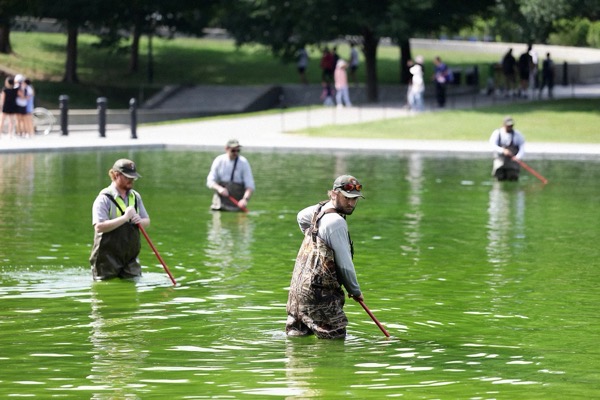 Reflecting-Pool-Full-of-Algae-Science-2281587520.jpg.jpg Reflecting Pool Full of Algae Science 2281587520.jpg.