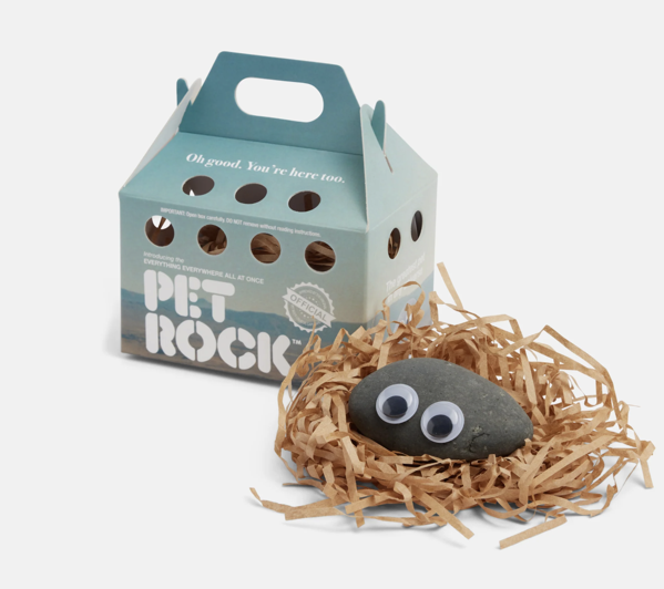 An official "Everything Everywhere All at Once" Pet Rock, featuring a smooth, dark grey oval stone with two plastic googly eyes attached to the front. The rock sits nestled inside a bed of shredded brown kraft paper. Behind it is its custom light-blue cardboard carrier box designed like a pet crate, complete with a carrying handle and circular air holes. The box has white text that reads "Oh good. You're here too." on top, with "PET ROCK" in a bold, stylized white font on the front.