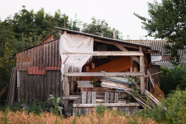 shutterstock_2567949113.jpg Shutterstock 2567949113. A weathered, ramshackle wooden shed with a corrugated metal and tarp exterior, filled with scrap wood, planks, and discarded building materials, standing in an overgrown field surrounded by dry brush and green trees.