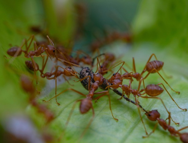 Oktavianus mulyadi Ir0LXvMPnyc unsplash.